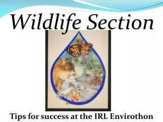 Tips for success at the IRL Envirothon