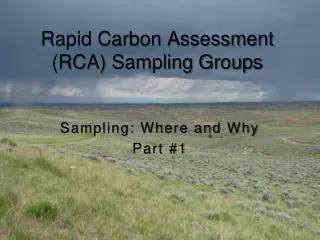 Rapid Carbon Assessment (RCA) Sampling Groups
