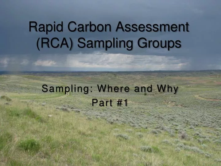 rapid carbon assessment rca sampling groups