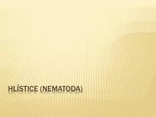 hl stice nematoda
