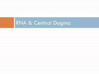 RNA &amp; Central Dogma