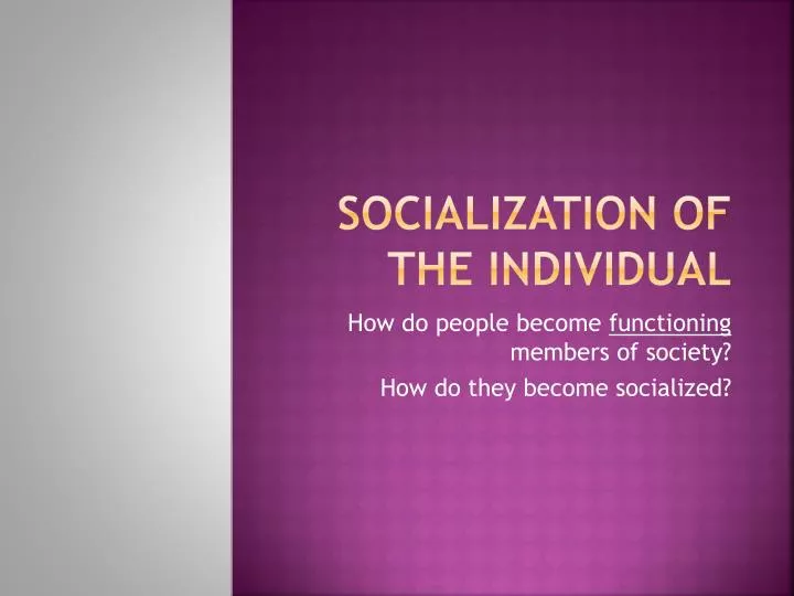socialization of the individual