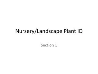 Nursery/Landscape Plant ID