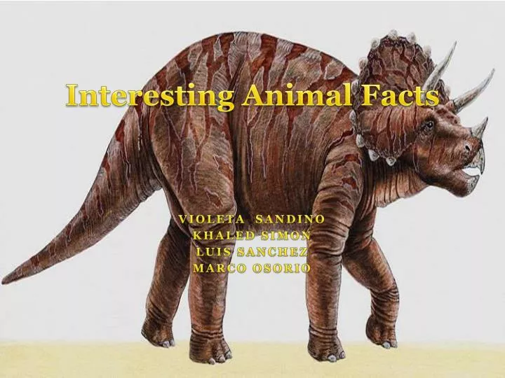 interesting animal facts