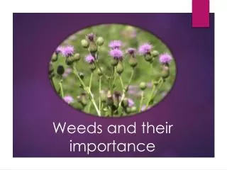 Weeds and their importance