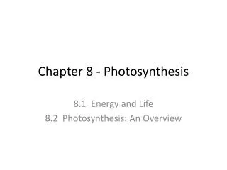 chapter 8 photosynthesis