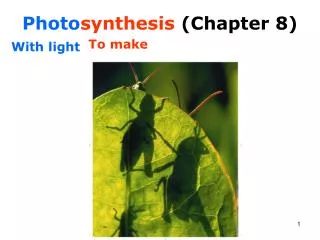 Photo synthesis (Chapter 8)