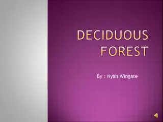 Deciduous Forest