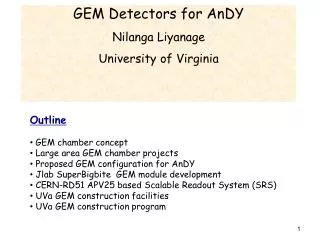 GEM Detectors for AnDY Nilanga Liyanage University of Virginia
