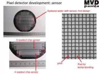 Pixel detector development: sensor
