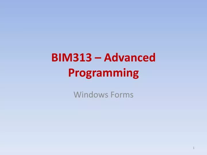 bim 313 advanced programming