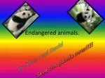 Endangered animals. - slide 1