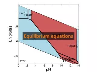 Equilibrium equations