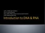 Introduction to DNA &amp; RNA - slide 1