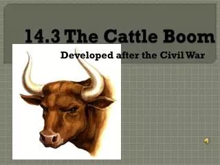 14.3 The Cattle Boom