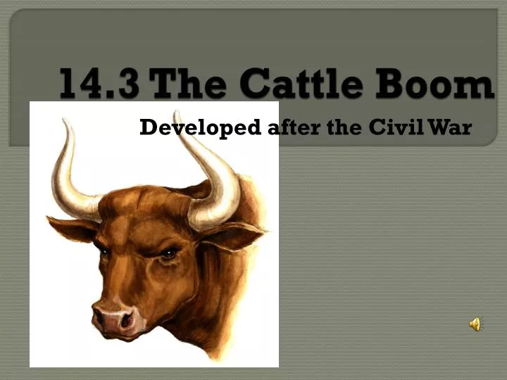 14 3 the cattle boom
