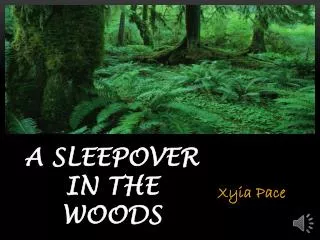 A Sleepover In The Woods