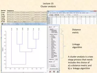 Lecture 15 Cluster analysis