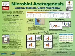 Microbial Acetogenesis Lindsay Rollick, Gerrit Voordouw