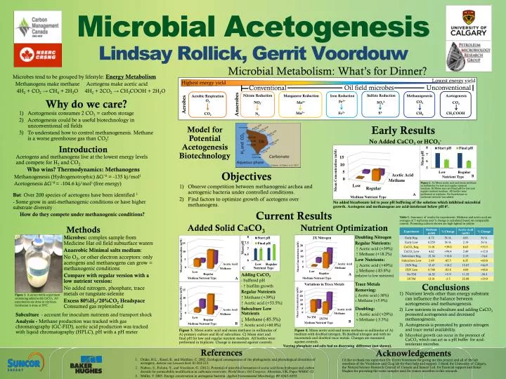 microbial acetogenesis lindsay rollick gerrit voordouw