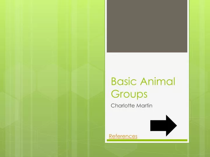 basic a nimal groups