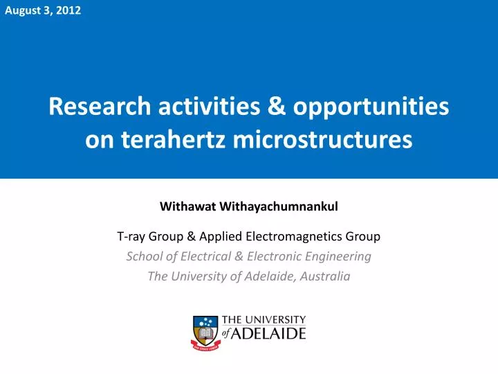research activities opportunities on terahertz microstructures