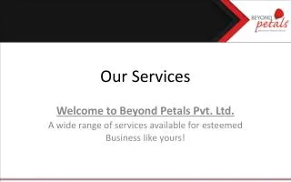 Our Services