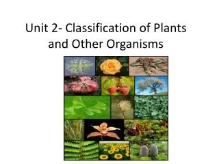 Unit 2- Classification of Plants and Other Organisms