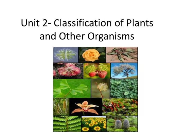 unit 2 classification of plants and other organisms