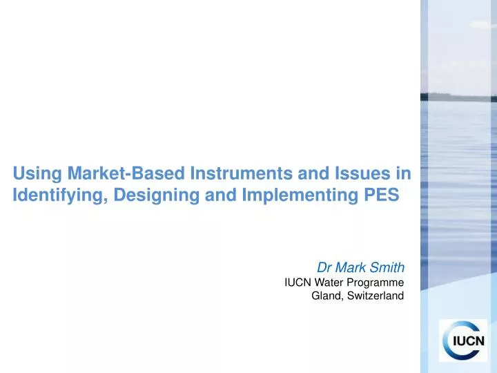 using market based instruments and issues in identifying designing and implementing pes