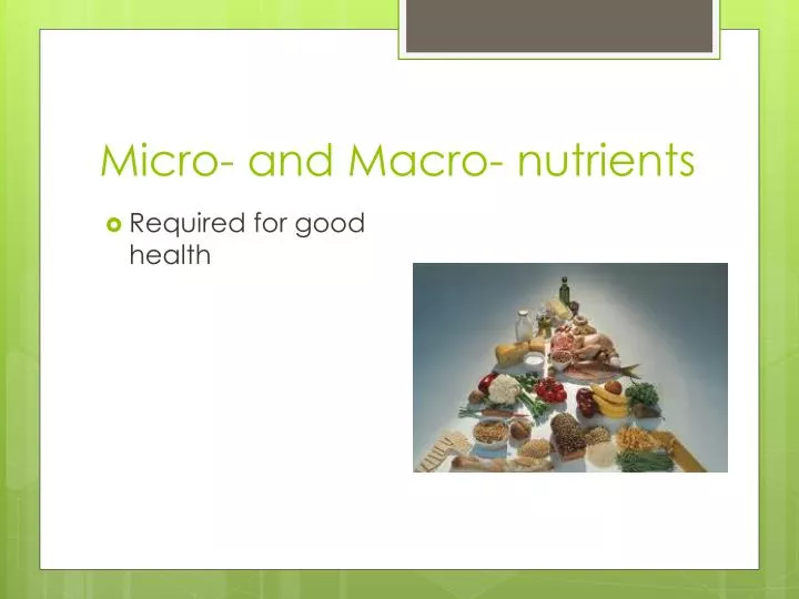 micro and macro nutrients