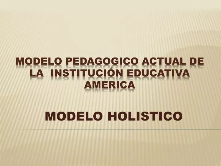 modelo holistico