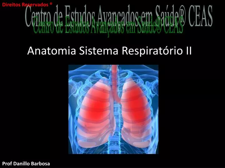 anatomia sistema respirat rio ii parte ii