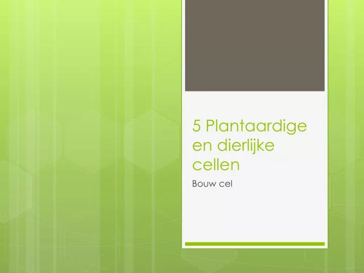5 plantaardige en dierlijke cellen