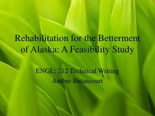 Rehabilitation for the Betterment of Alaska: A Feasibility Study