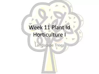Week 11 Plant Id Horticulture I
