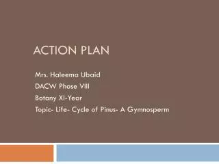 action plan