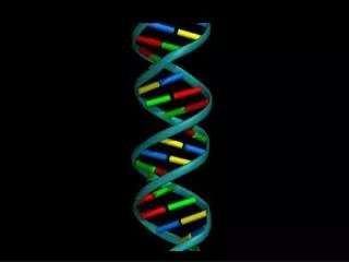 The process of joining together monomers is known as POLYMERIZATION