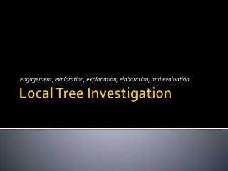 Local Tree Investigation