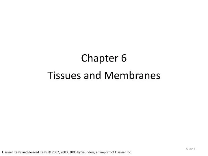 chapter 6 tissues and membranes
