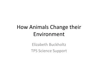 How Animals Change their Environment