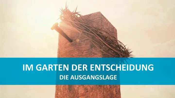 im garten der entscheidung die ausgangslage