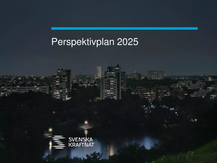 perspektivplan 2025