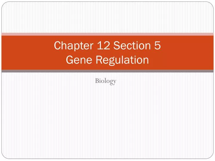 chapter 12 section 5 gene regulation