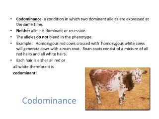 Codominance