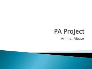 PA Project