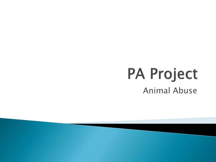 pa project