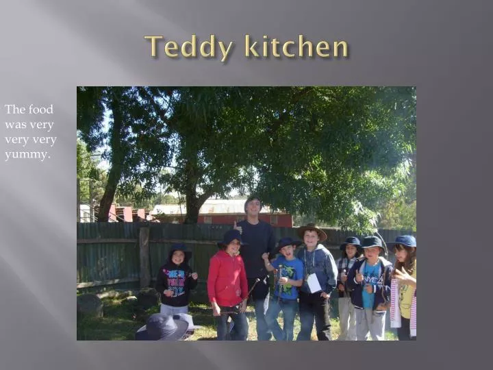 teddy kitchen