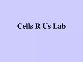 Cells R Us Lab