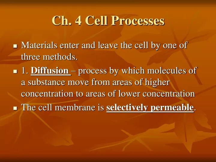 ch 4 cell processes